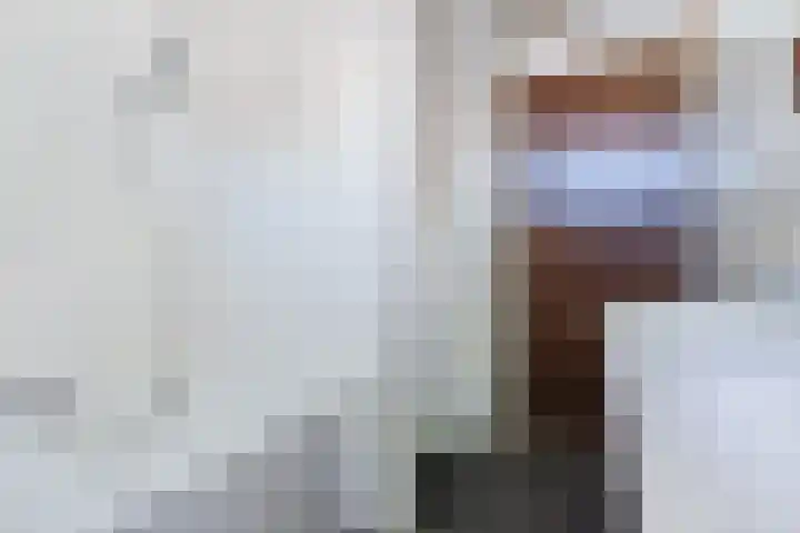 Cunerahof 7 Venray thumbnail 26