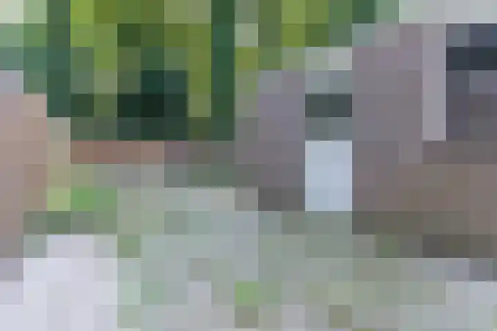 Cunerahof 7 Venray thumbnail 35