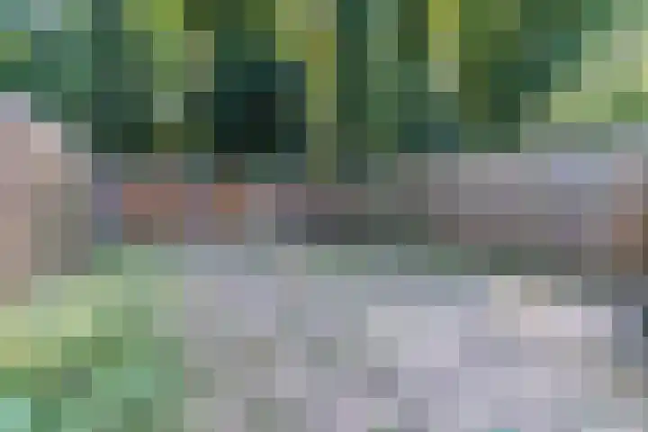Cunerahof 7 Venray thumbnail 36