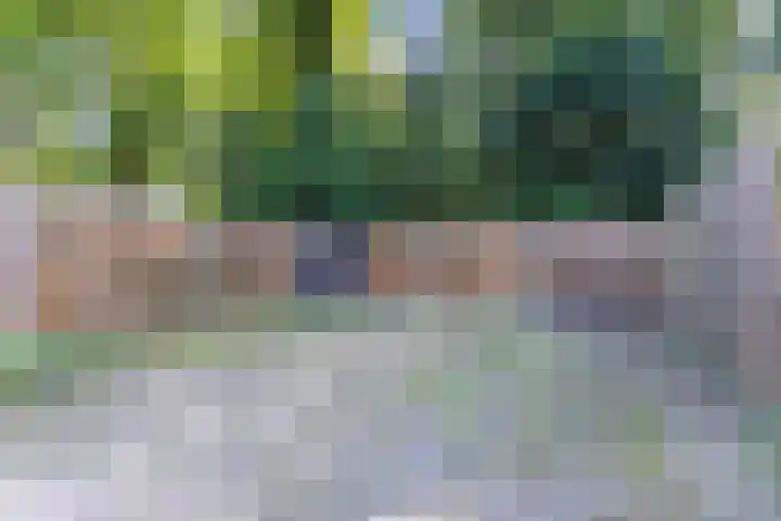 Cunerahof 7 Venray thumbnail 37