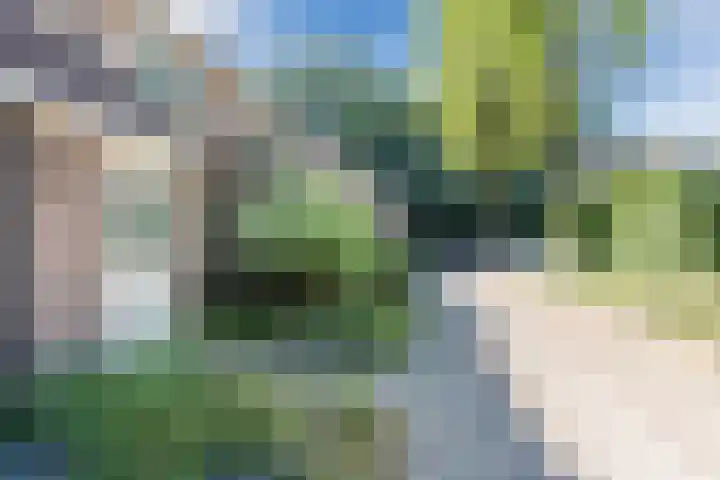 Cunerahof 7 Venray thumbnail 40