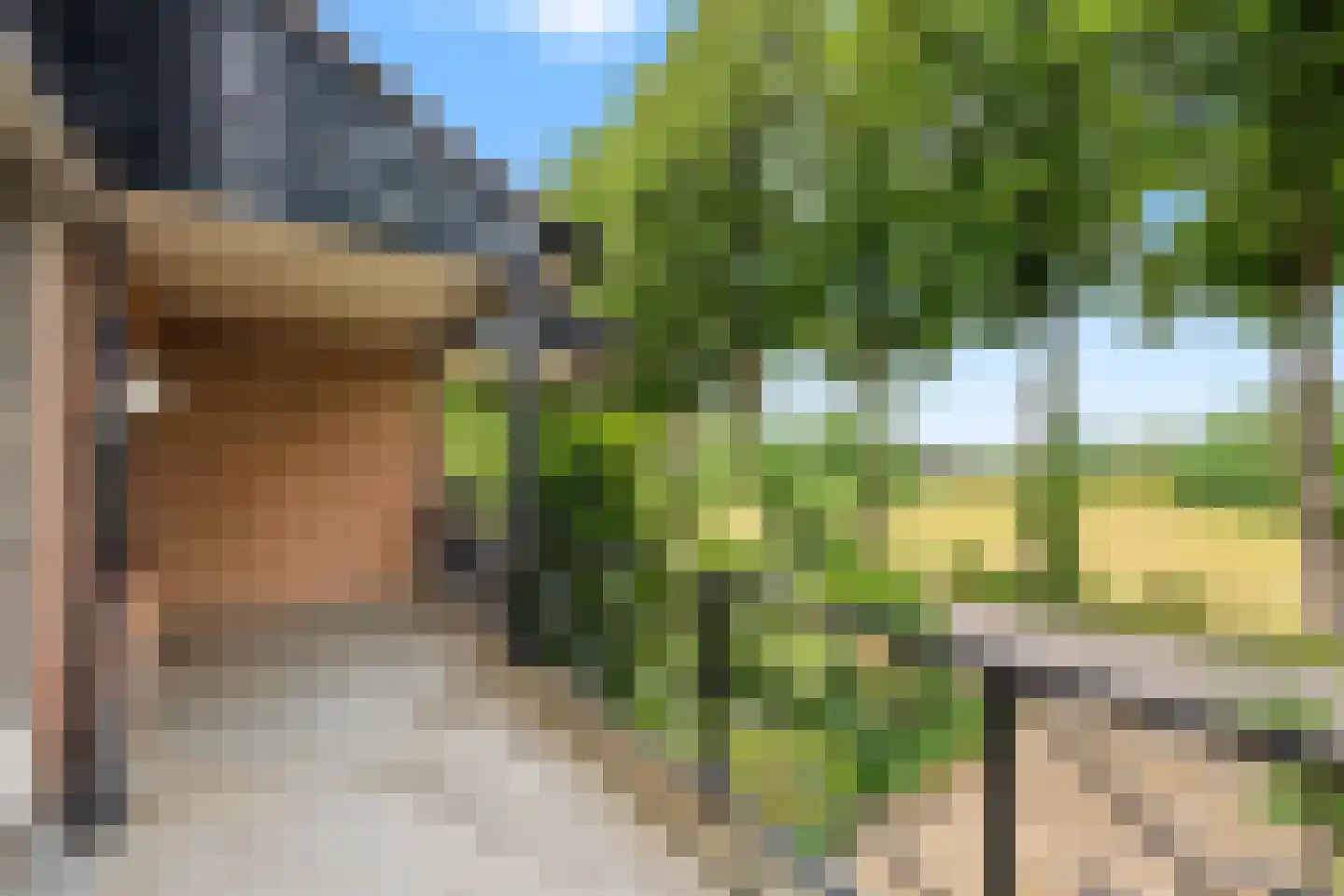 Cuneralaan 27 Rhenen thumbnail 10