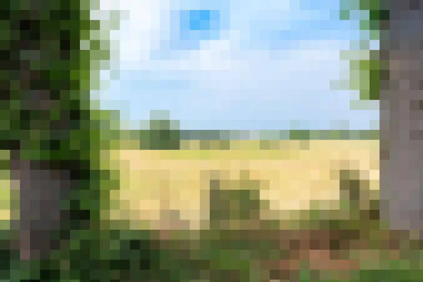 Cuneralaan 27 Rhenen thumbnail 11