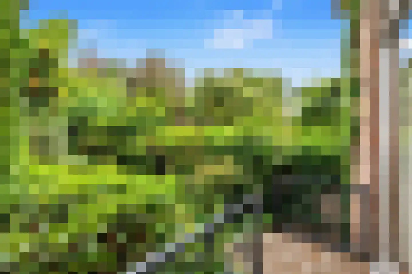 Cuneralaan 27 Rhenen thumbnail 18