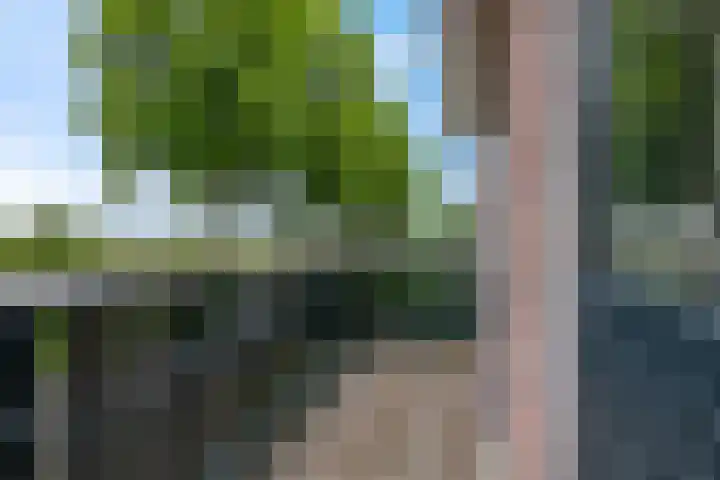 Cuneralaan 41 Rhenen thumbnail 21
