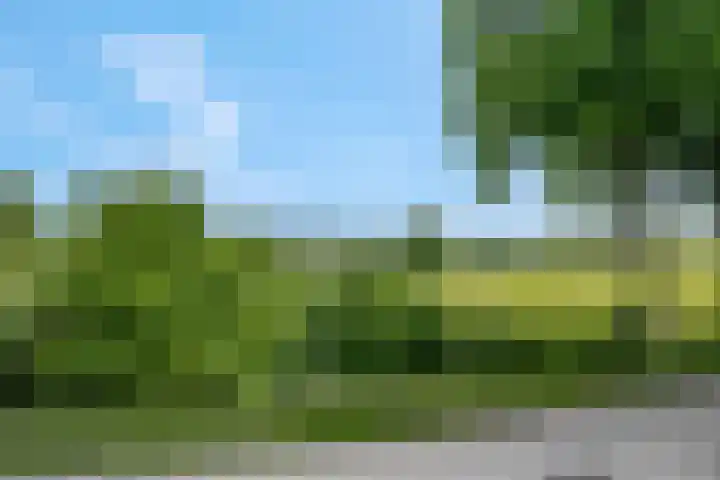 Cuneralaan 41 Rhenen thumbnail 22