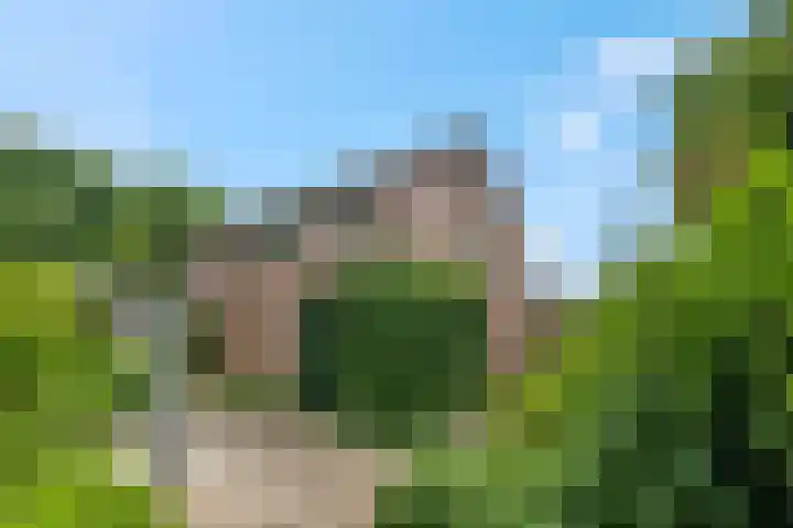 Cuneralaan 41 Rhenen thumbnail 32