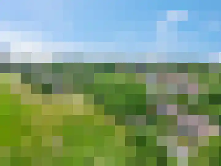Cuneralaan 41 Rhenen thumbnail 35