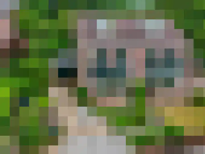 Cuneralaan 41 Rhenen thumbnail 5
