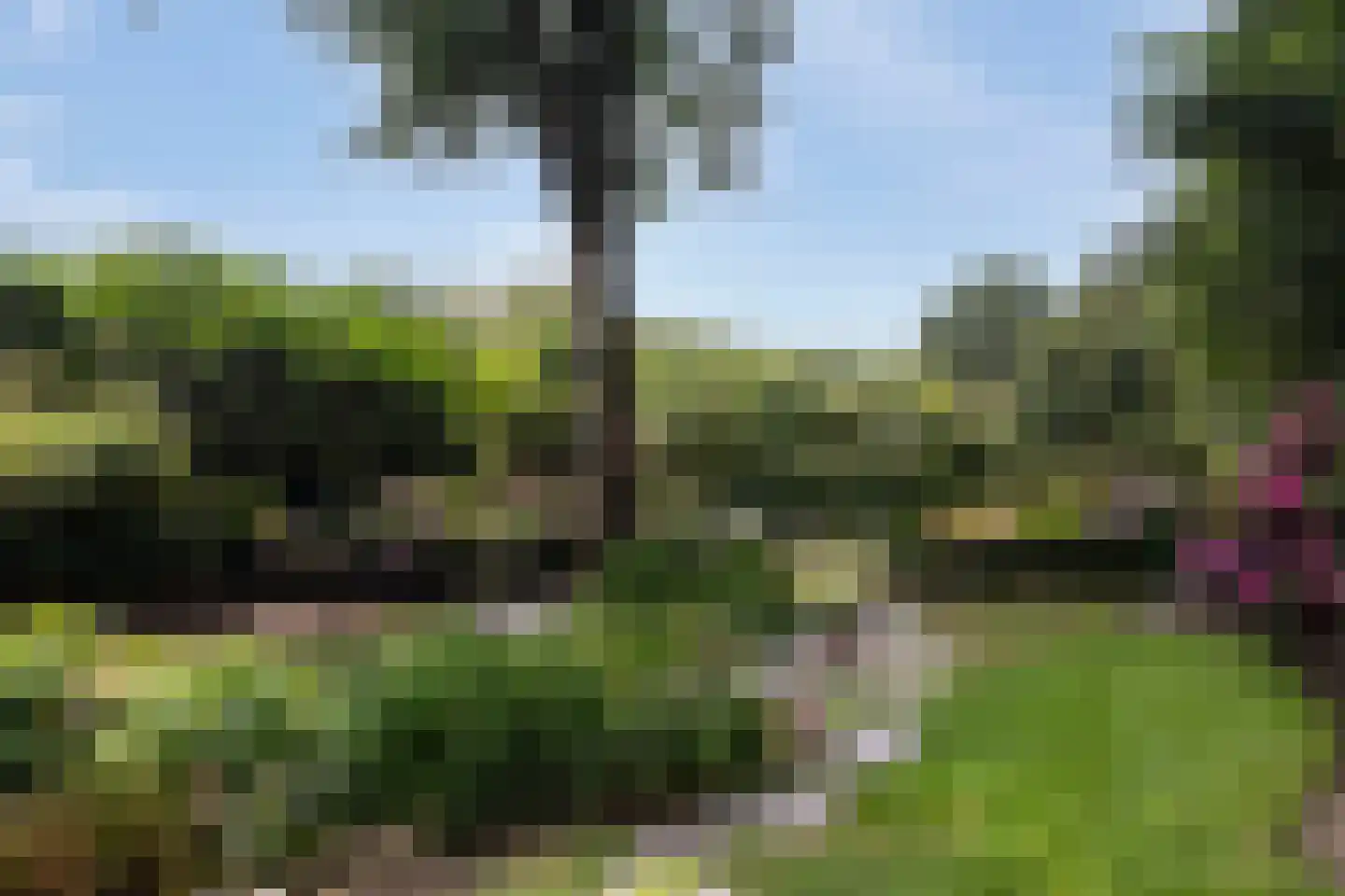Cuneralaan 75 Rhenen thumbnail 10