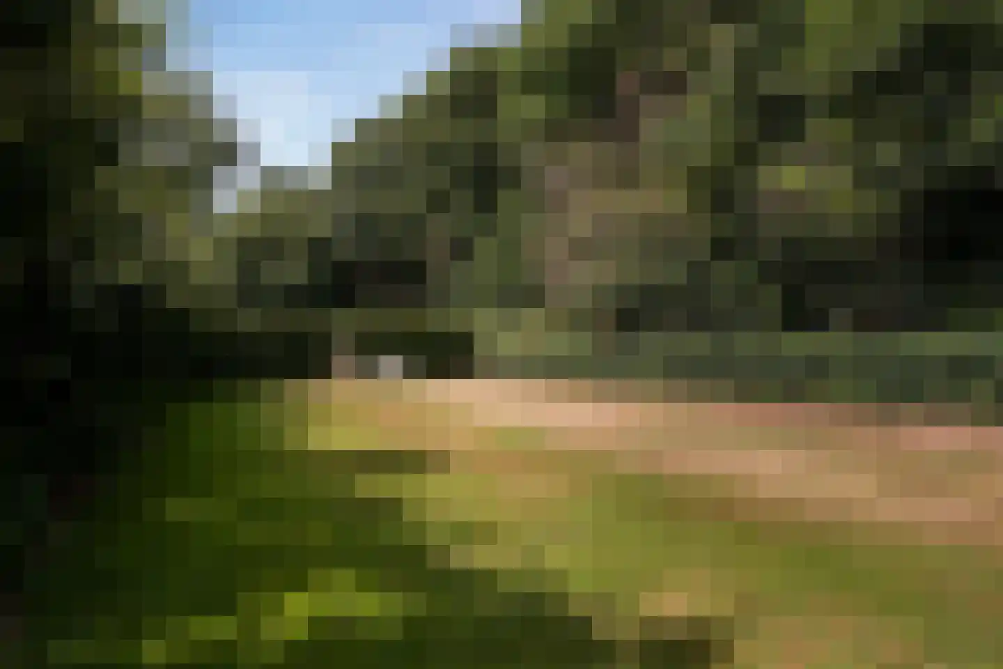 Cuneralaan 75 Rhenen thumbnail 11