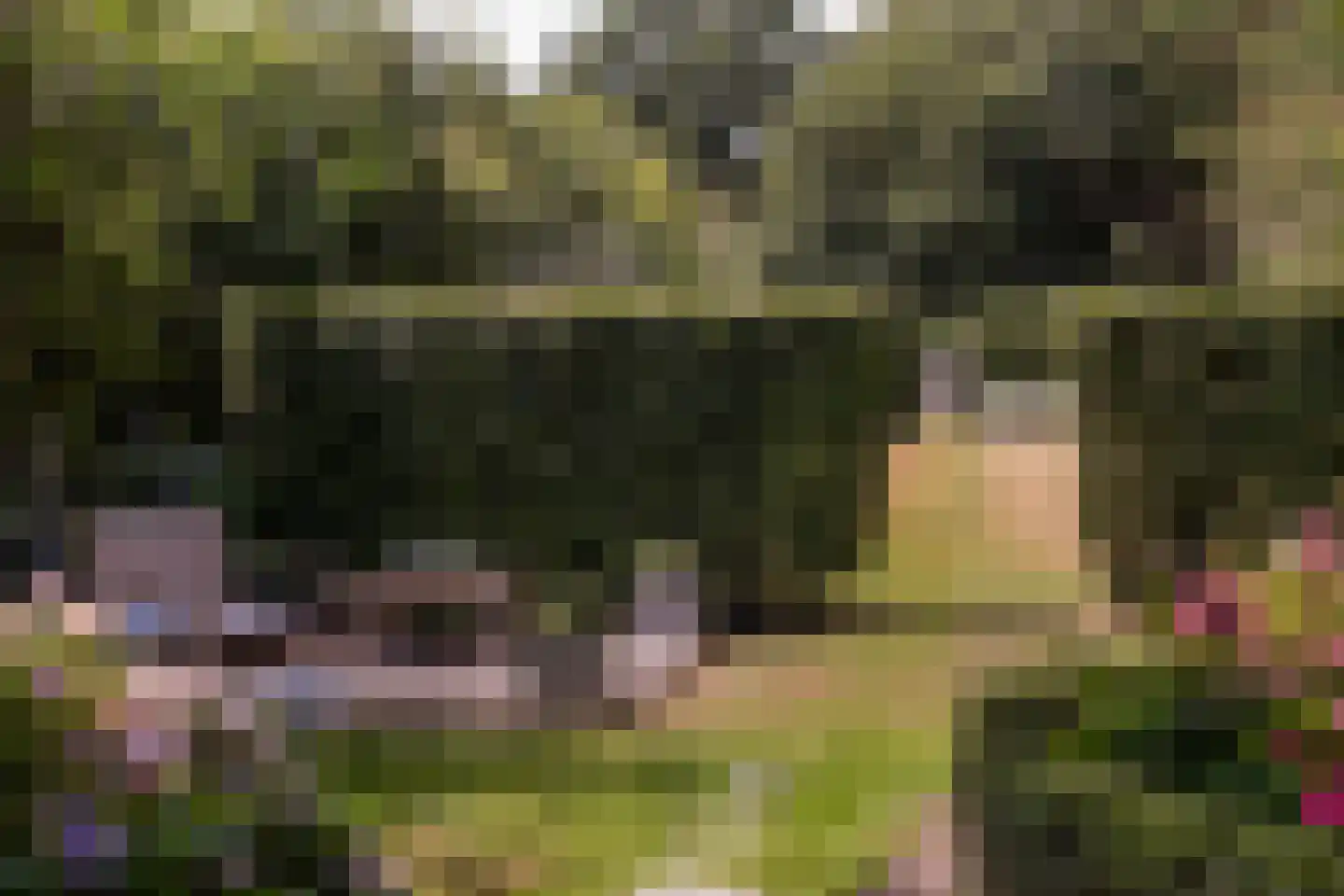 Cuneralaan 75 Rhenen thumbnail 12