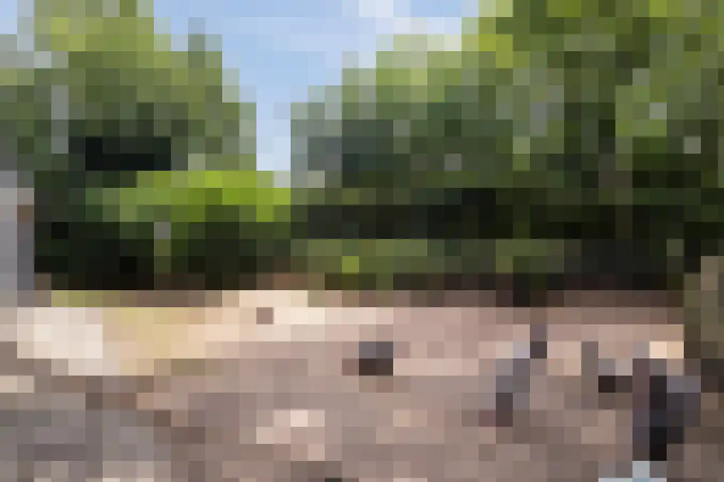 Cuneralaan 75 Rhenen thumbnail 14