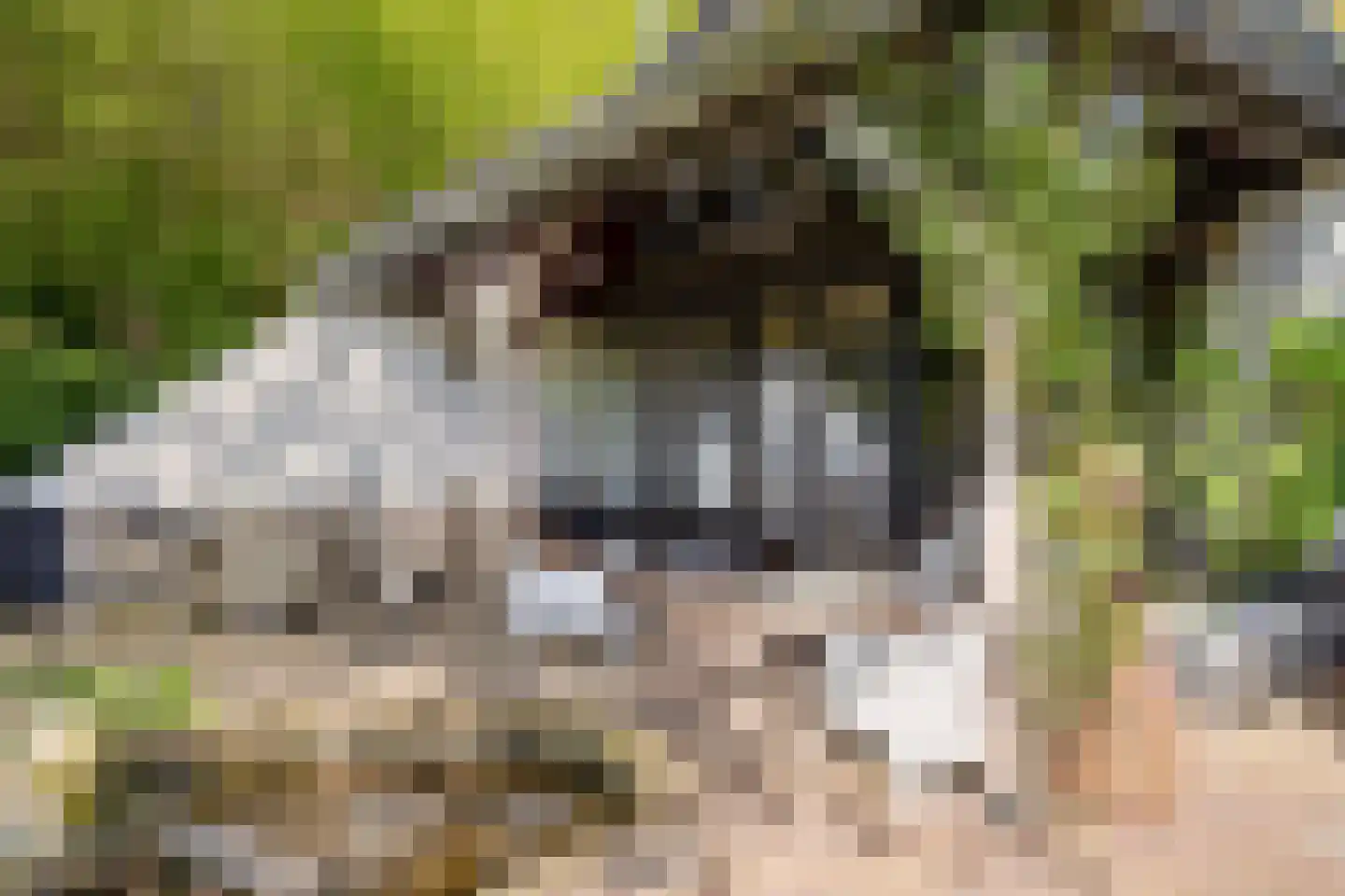 Cuneralaan 75 Rhenen thumbnail 5