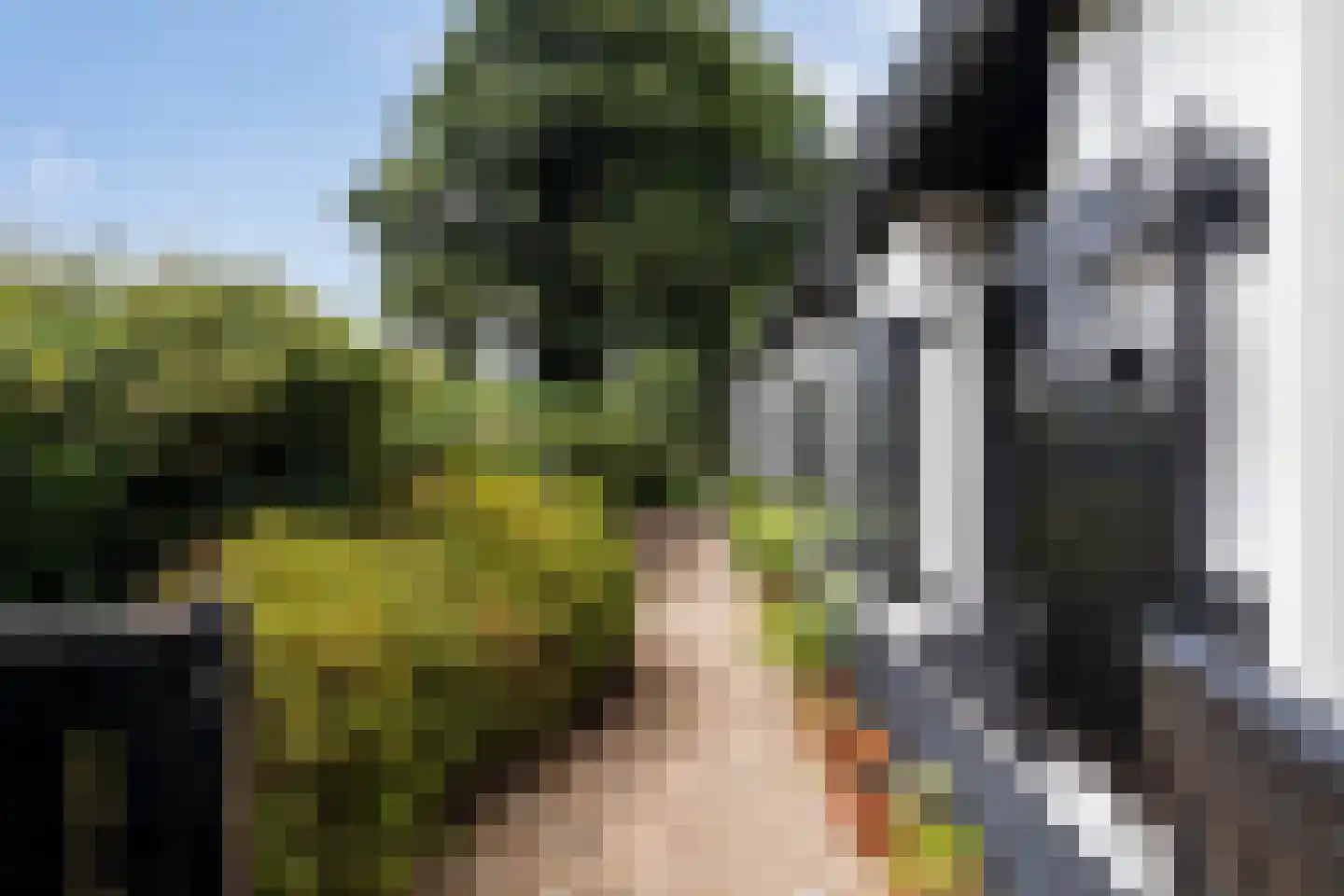 Cuneralaan 75 Rhenen thumbnail 6