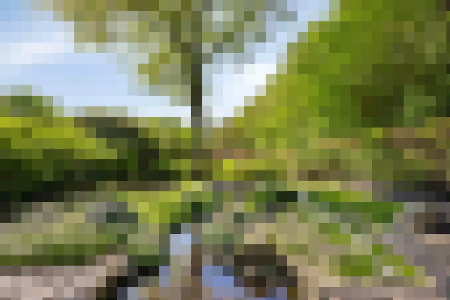 Cuneralaan 75 Rhenen thumbnail 64