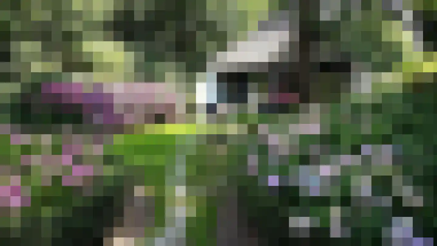 Cuneralaan 75 Rhenen thumbnail 66
