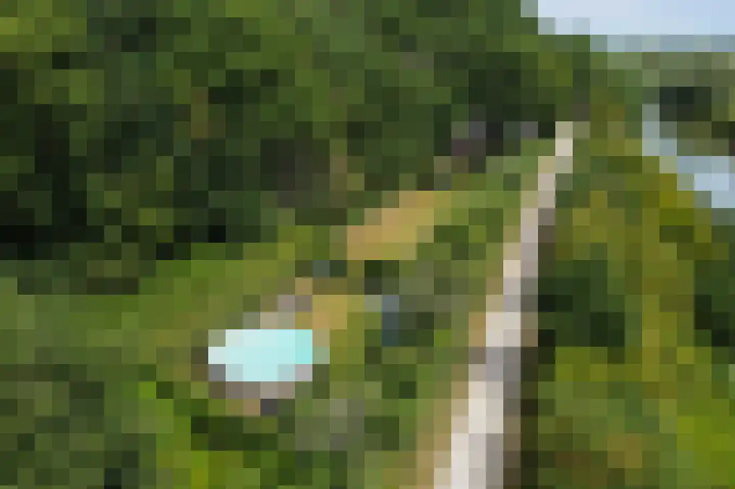 Cuneralaan 75 Rhenen thumbnail 8
