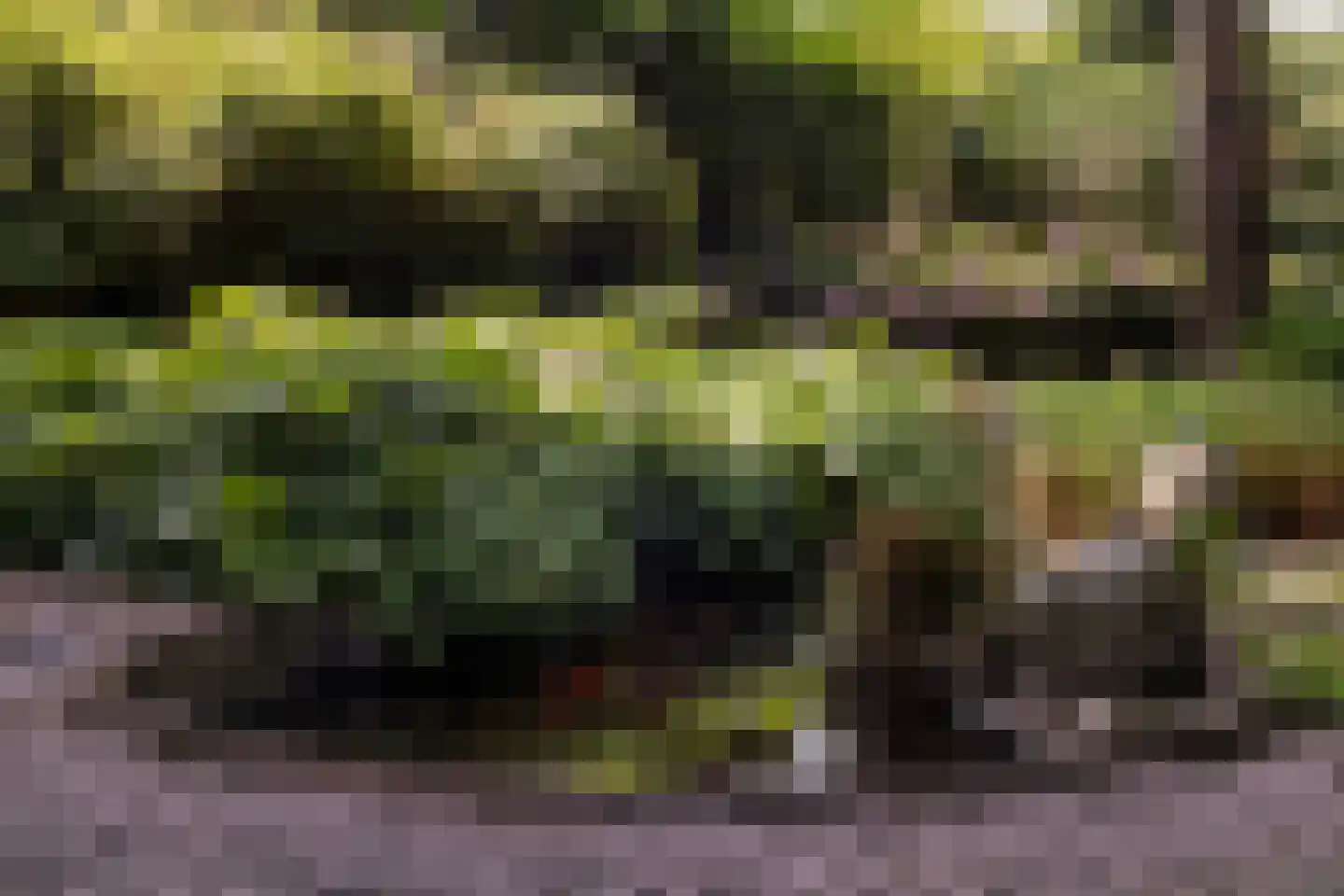 Cuneralaan 75 Rhenen thumbnail 9