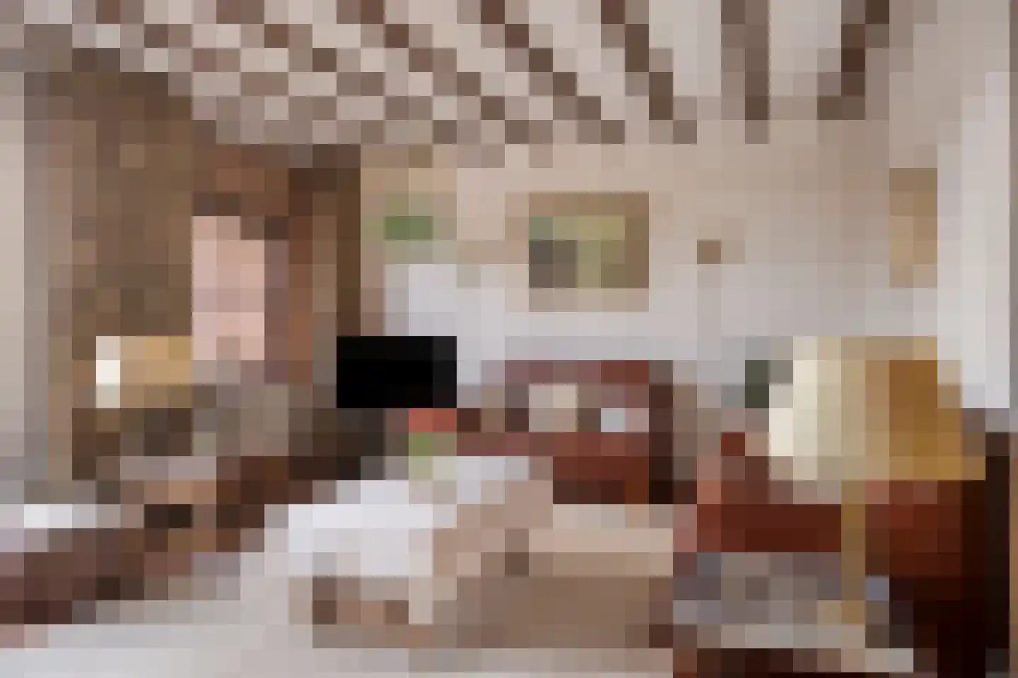 Cuneralaan 9 Rhenen thumbnail 20