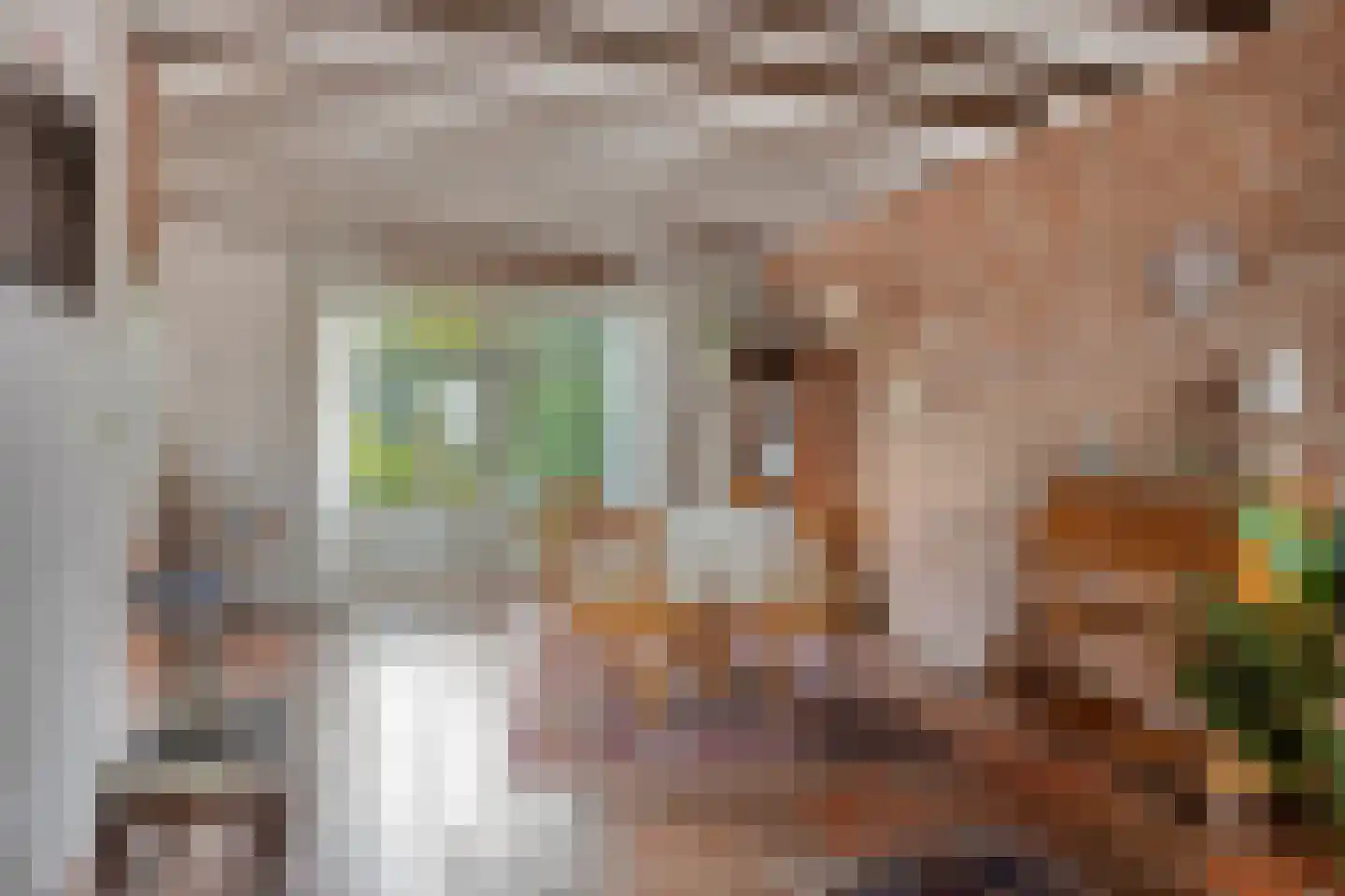 Cuneralaan 9 Rhenen thumbnail 25