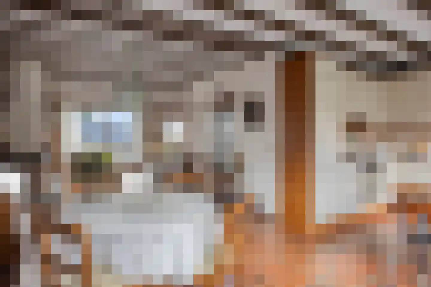 Cuneralaan 9 Rhenen thumbnail 28