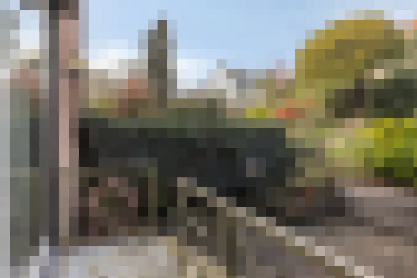 Cuneralaan 9 Rhenen thumbnail 51