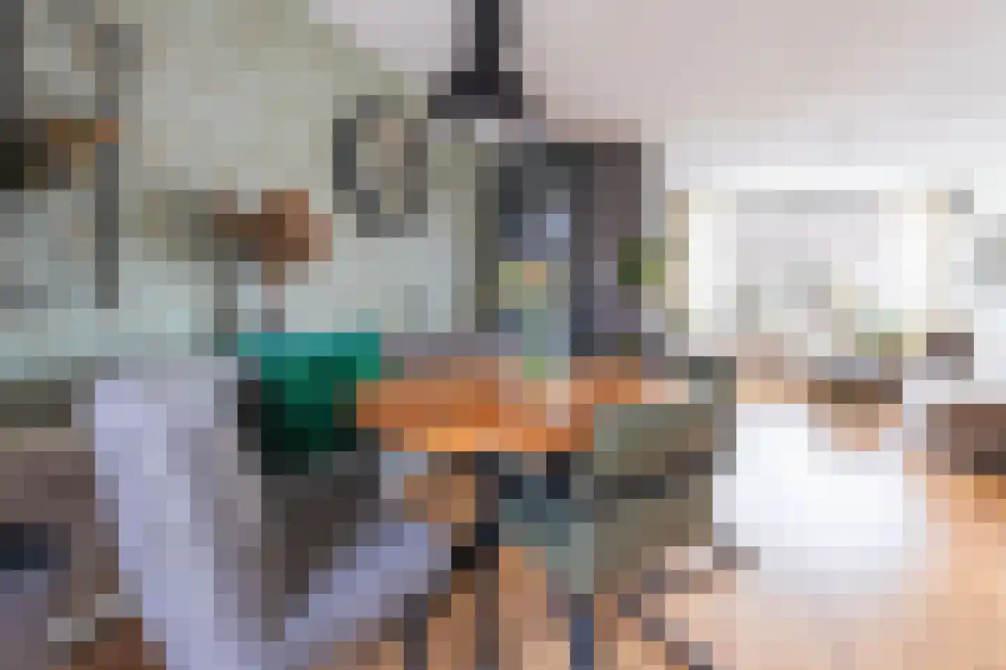 Cunerastraat 4 Nibbixwoud thumbnail 17