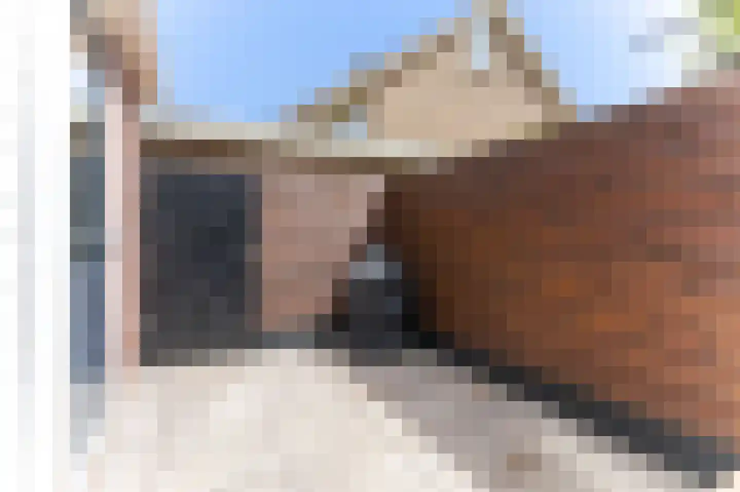 Cunerastraat 4 Nibbixwoud thumbnail 19