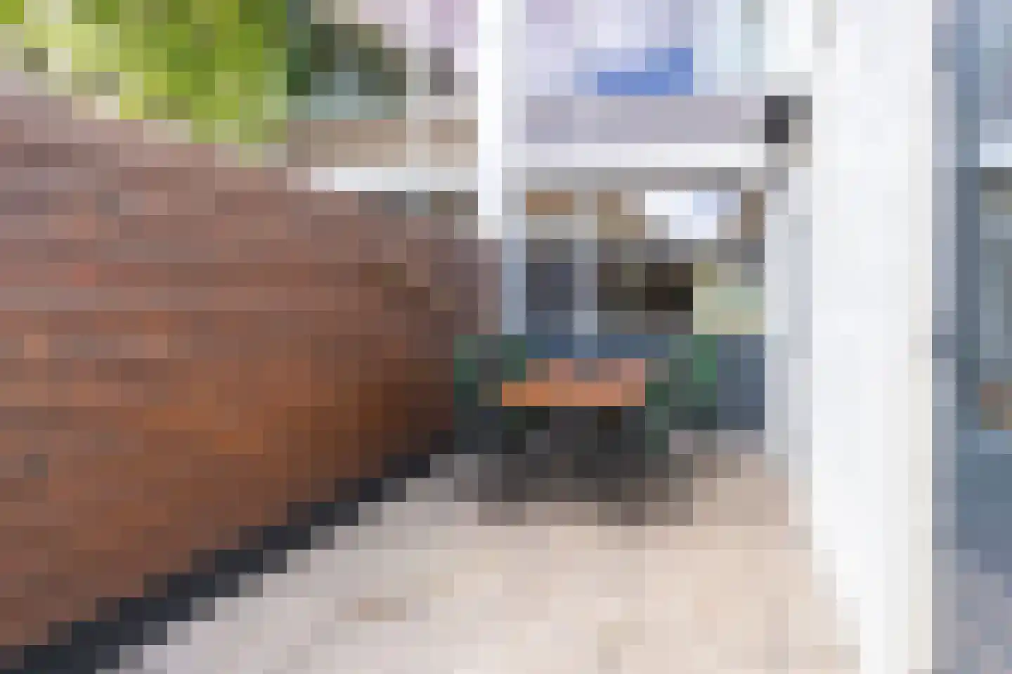 Cunerastraat 4 Nibbixwoud thumbnail 20