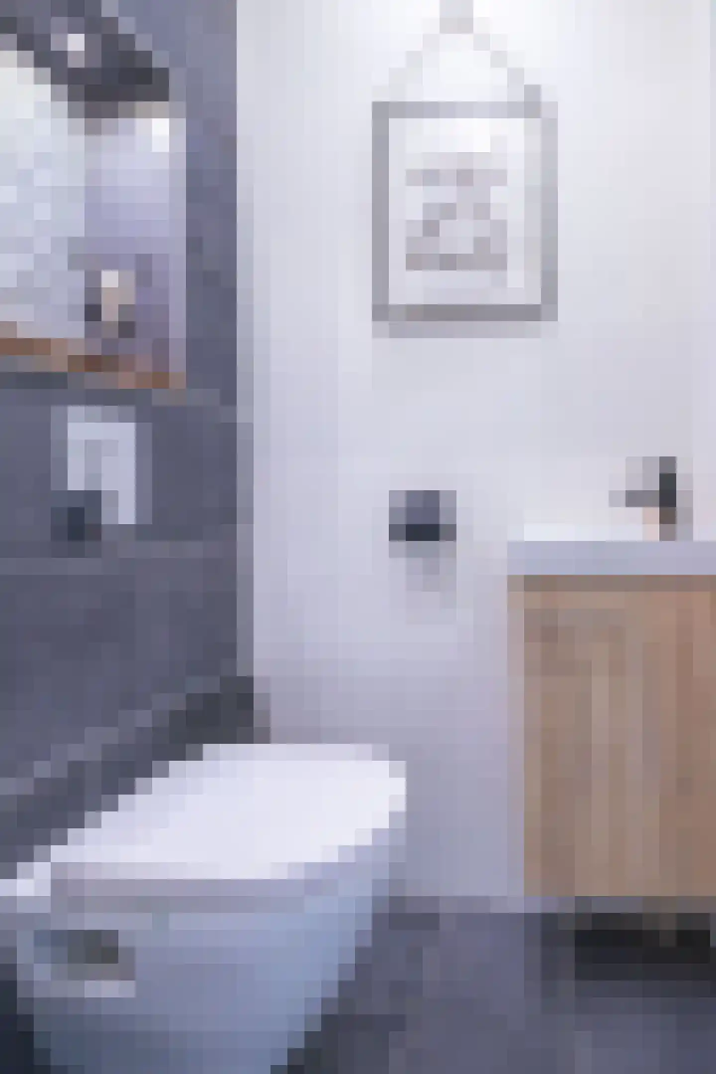 Cunerastraat 4 Nibbixwoud thumbnail 23
