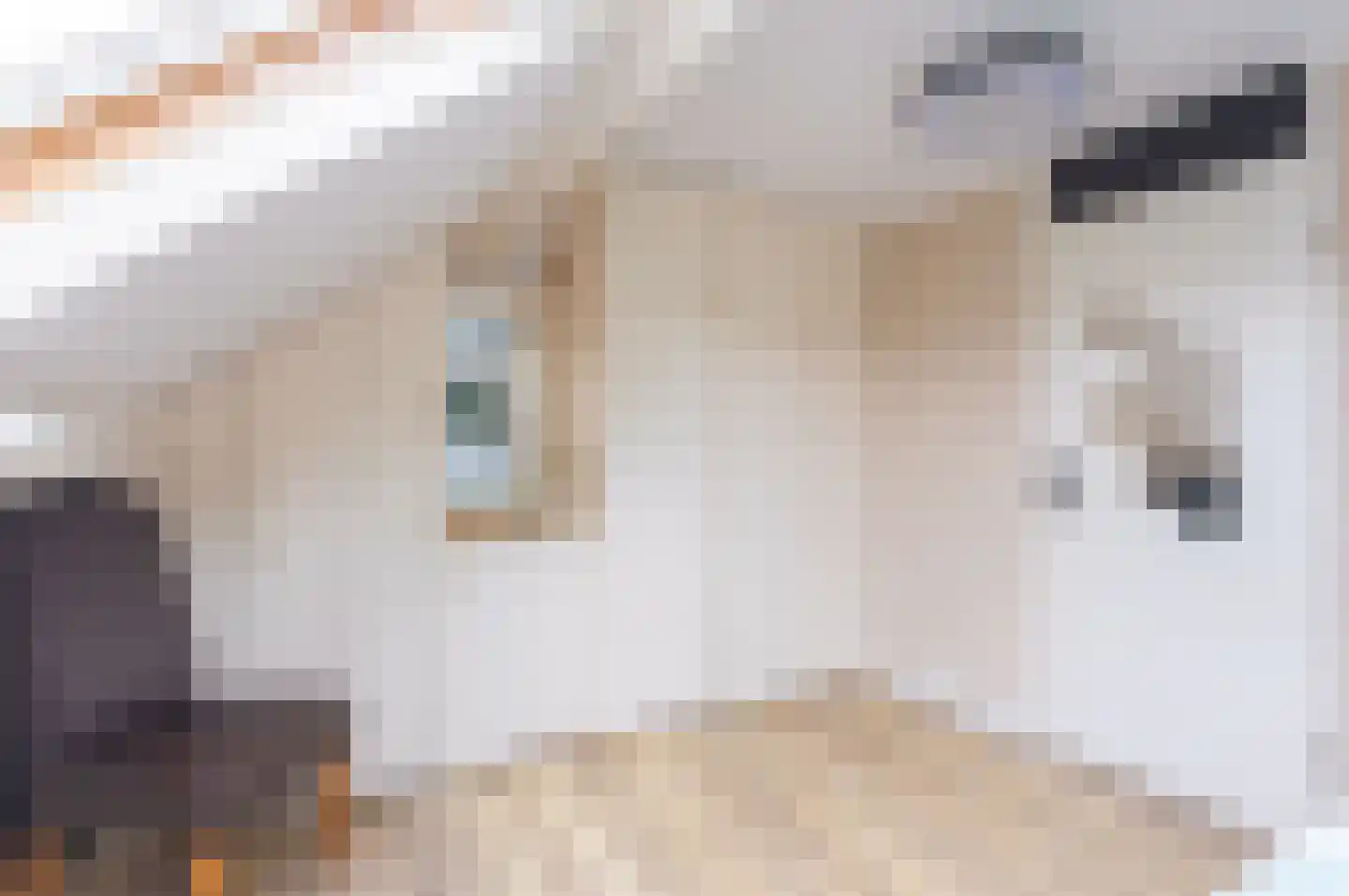 Cunerastraat 4 Nibbixwoud thumbnail 31