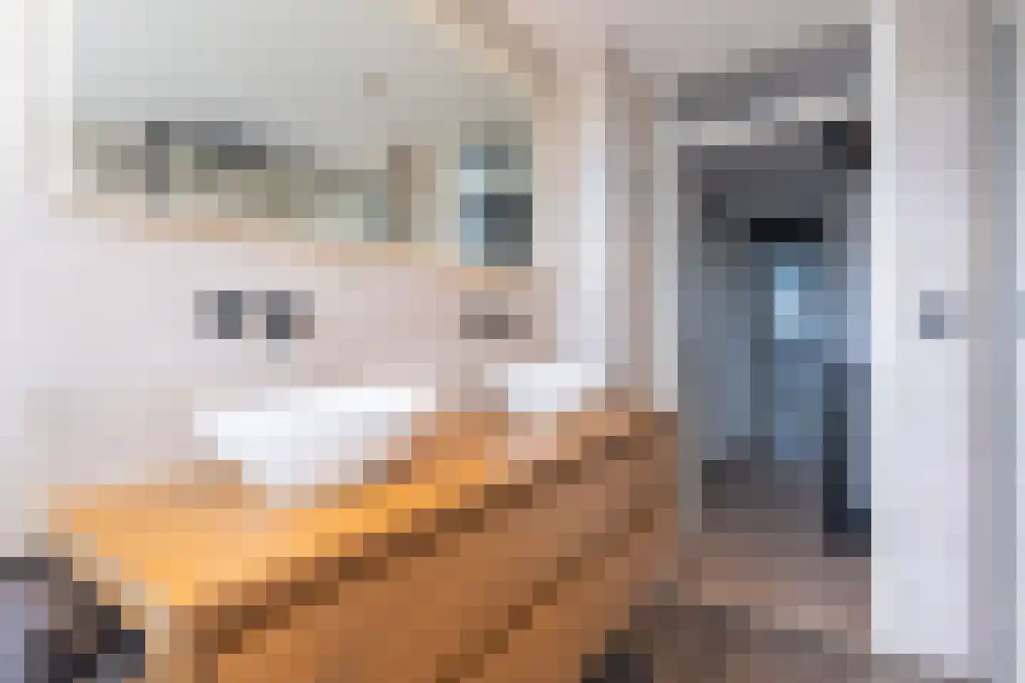 Cunerastraat 4 Nibbixwoud thumbnail 35