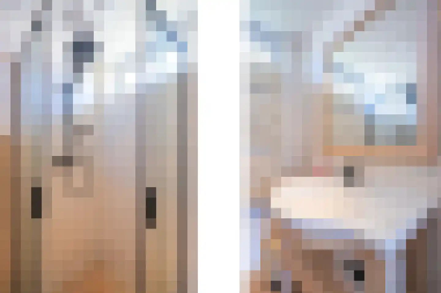 Cunerastraat 46 Nibbixwoud thumbnail 33