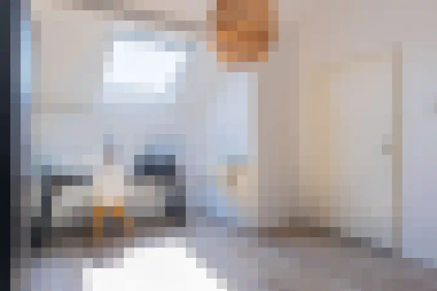 Cunerastraat 46 Nibbixwoud thumbnail 36
