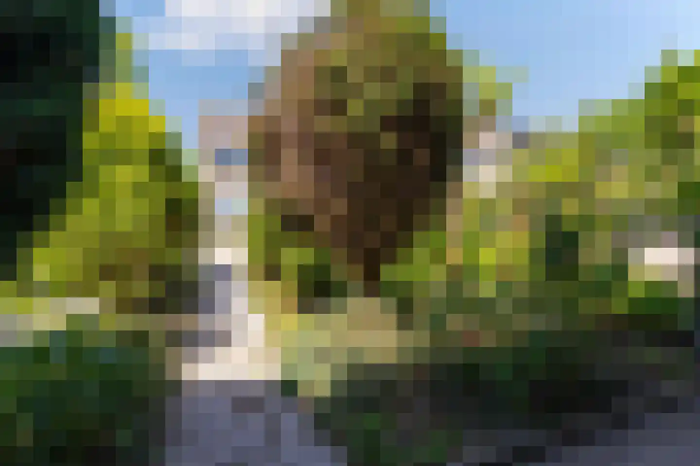 Cunerastraat 46 Nibbixwoud thumbnail 38
