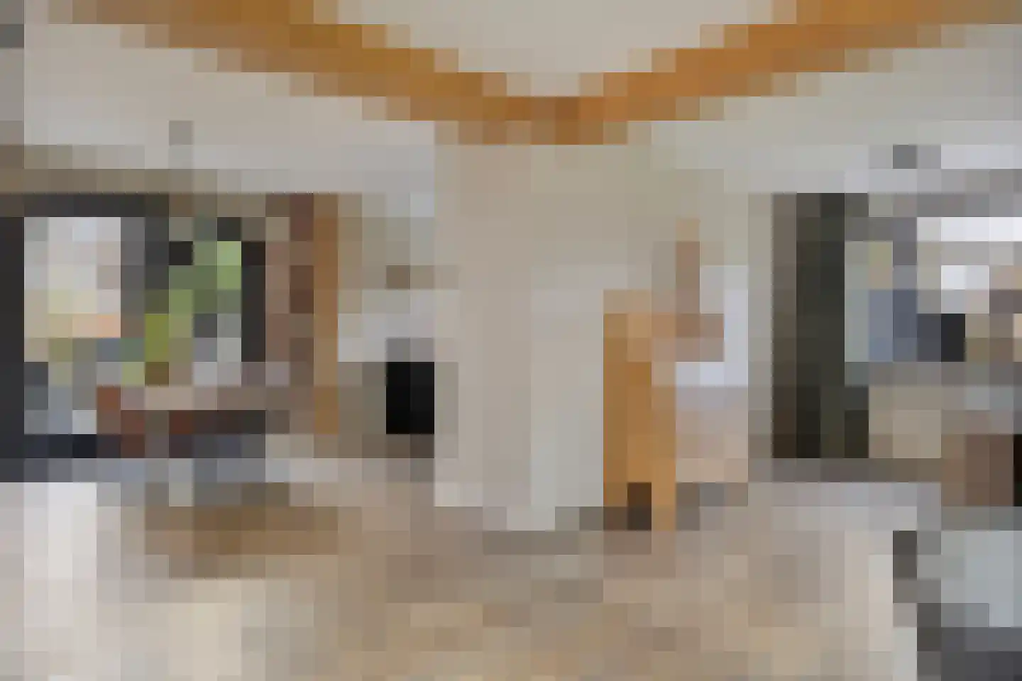 Cuneraweg 154 Rhenen thumbnail 12