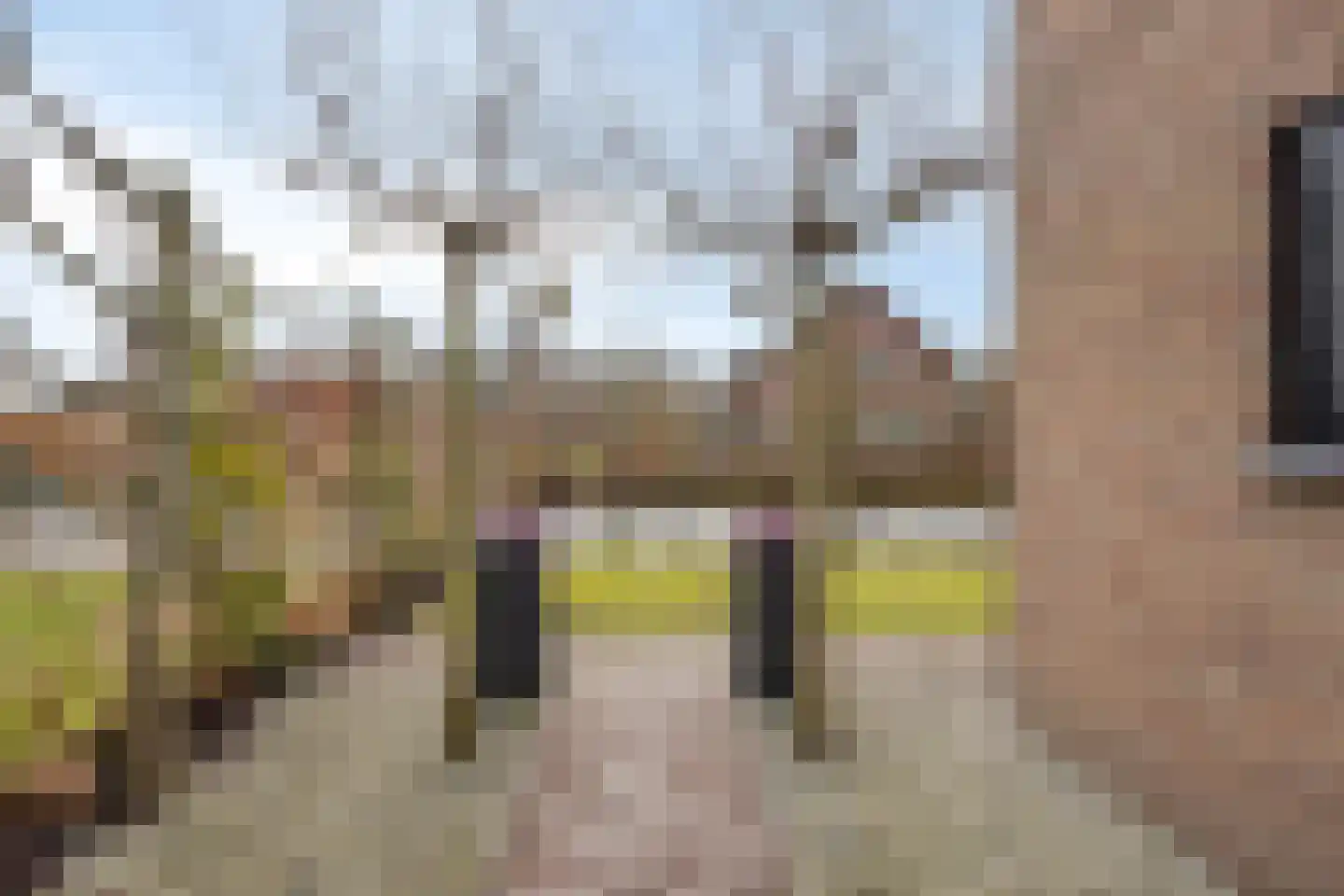 Cuneraweg 154 Rhenen thumbnail 34