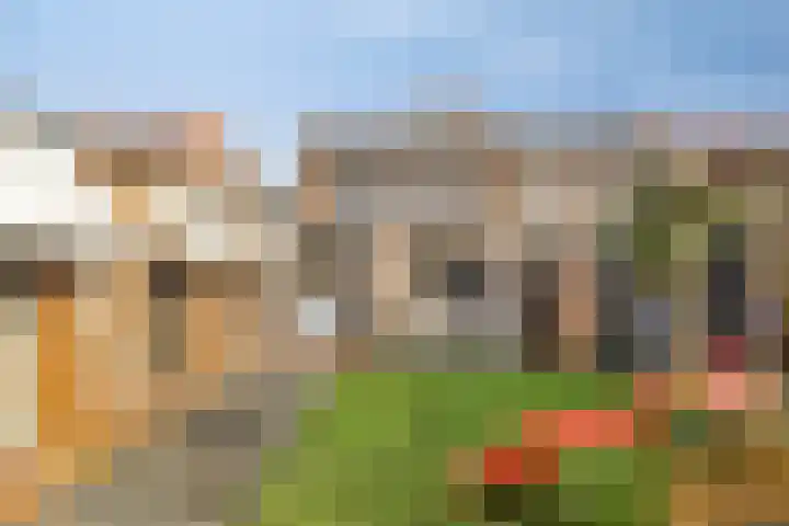 Cuneraweg 183 Rhenen thumbnail 25