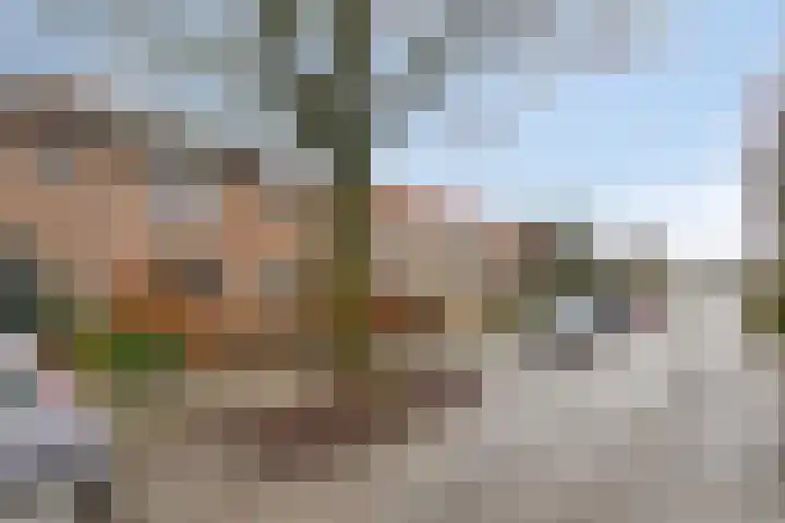 Cuneraweg 183 Rhenen thumbnail 30