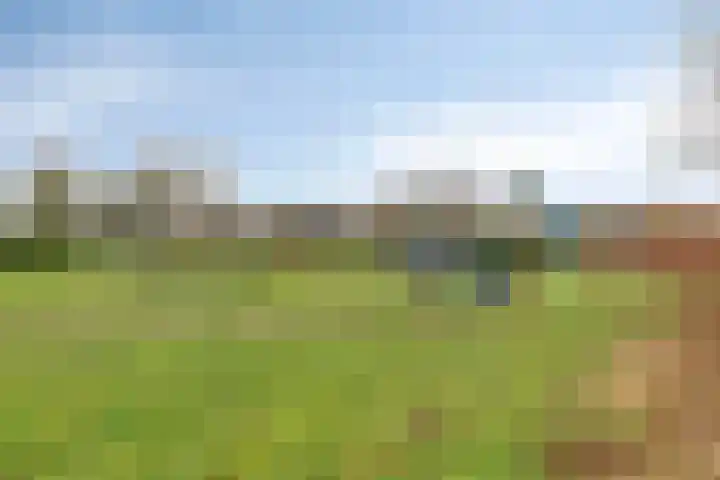 Cuneraweg 183 Rhenen thumbnail 31