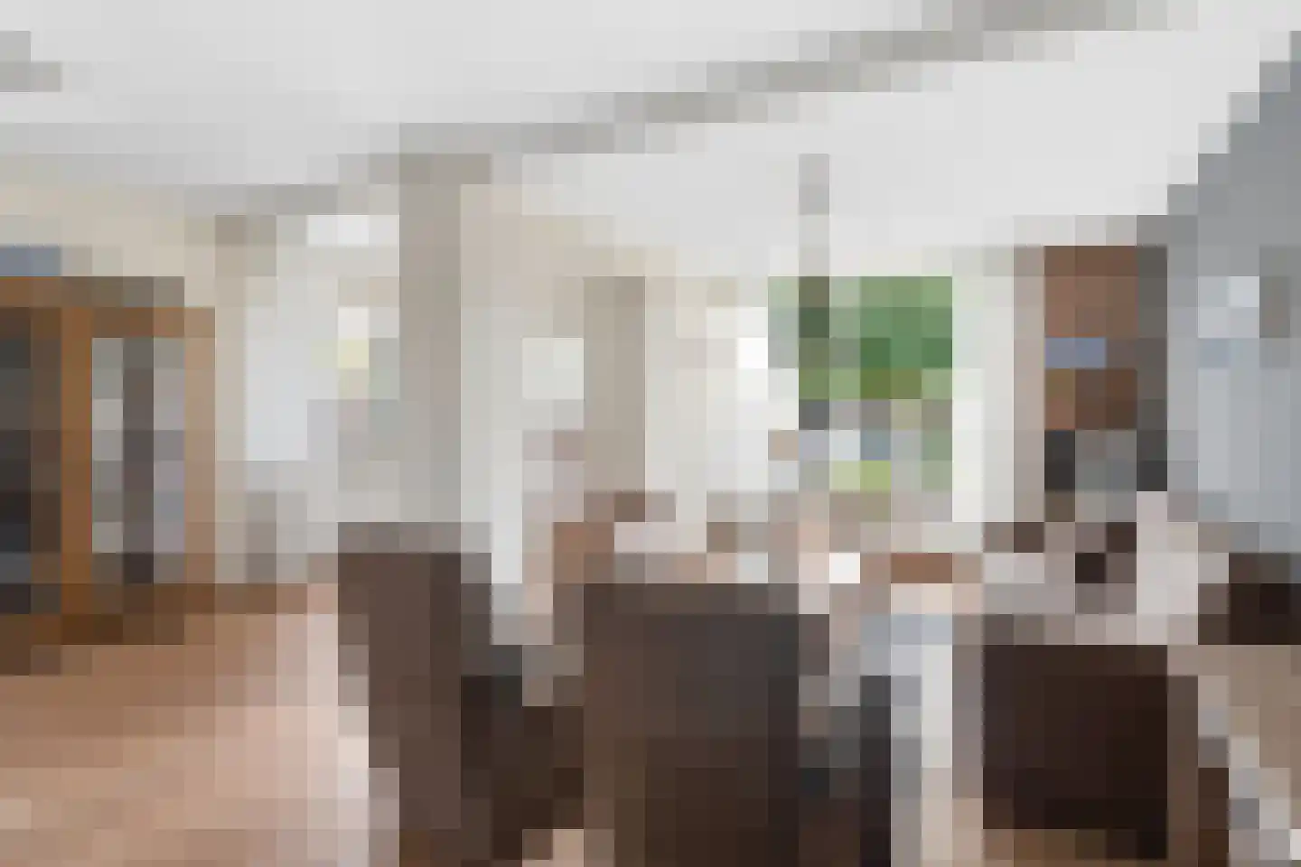 Cuneraweg 203 H Rhenen thumbnail 11