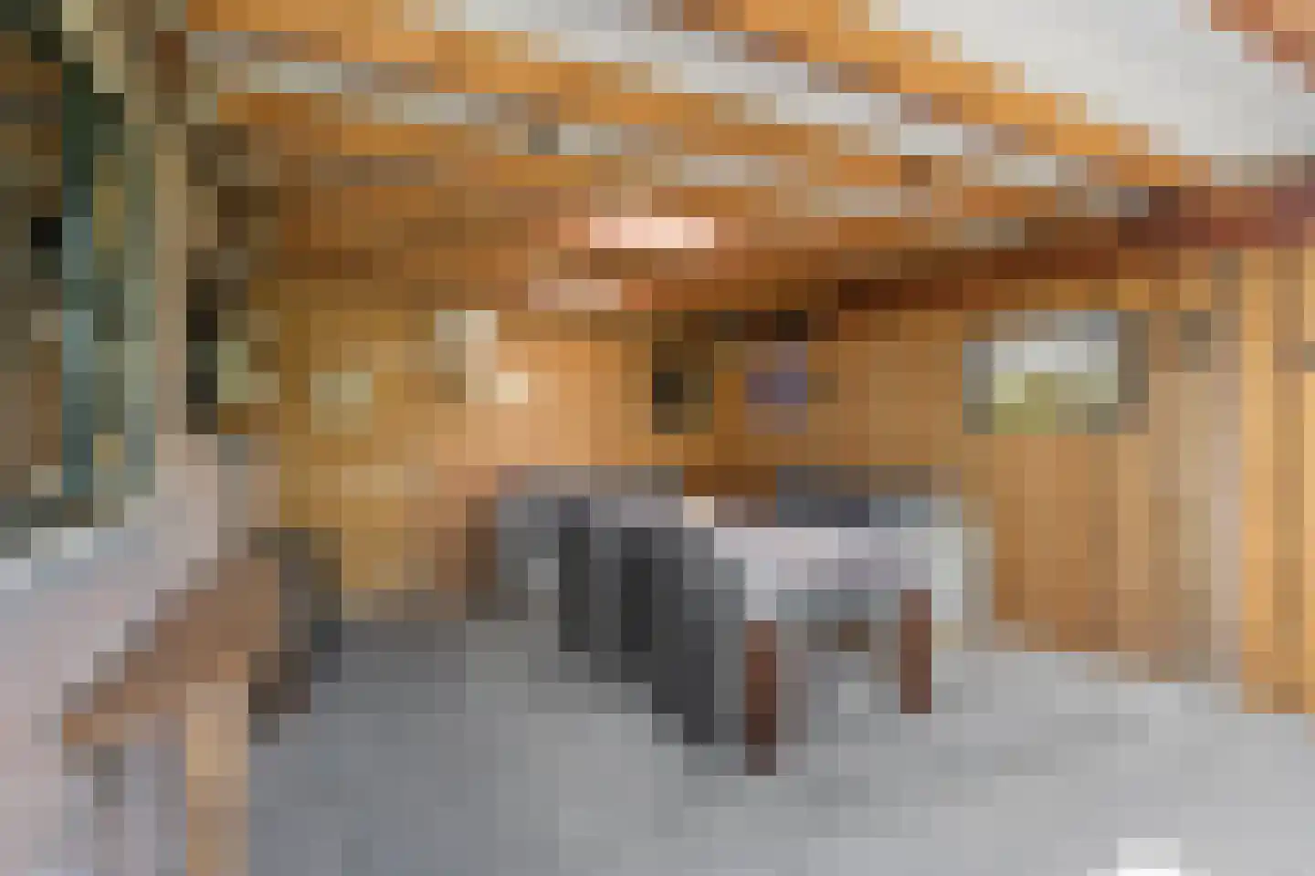 Cuneraweg 203 H Rhenen thumbnail 34