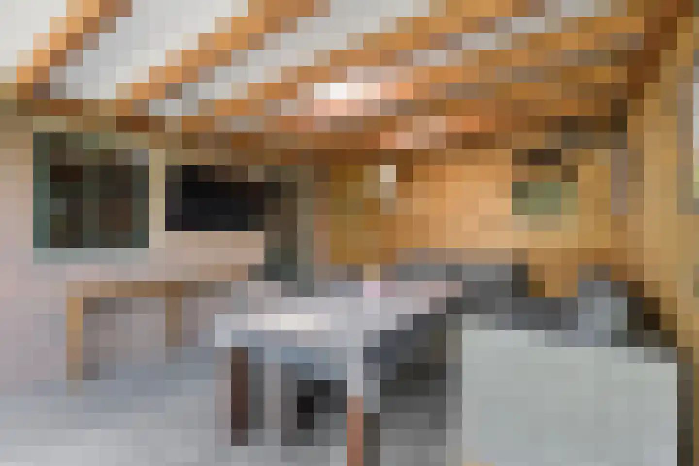Cuneraweg 203 H Rhenen thumbnail 35