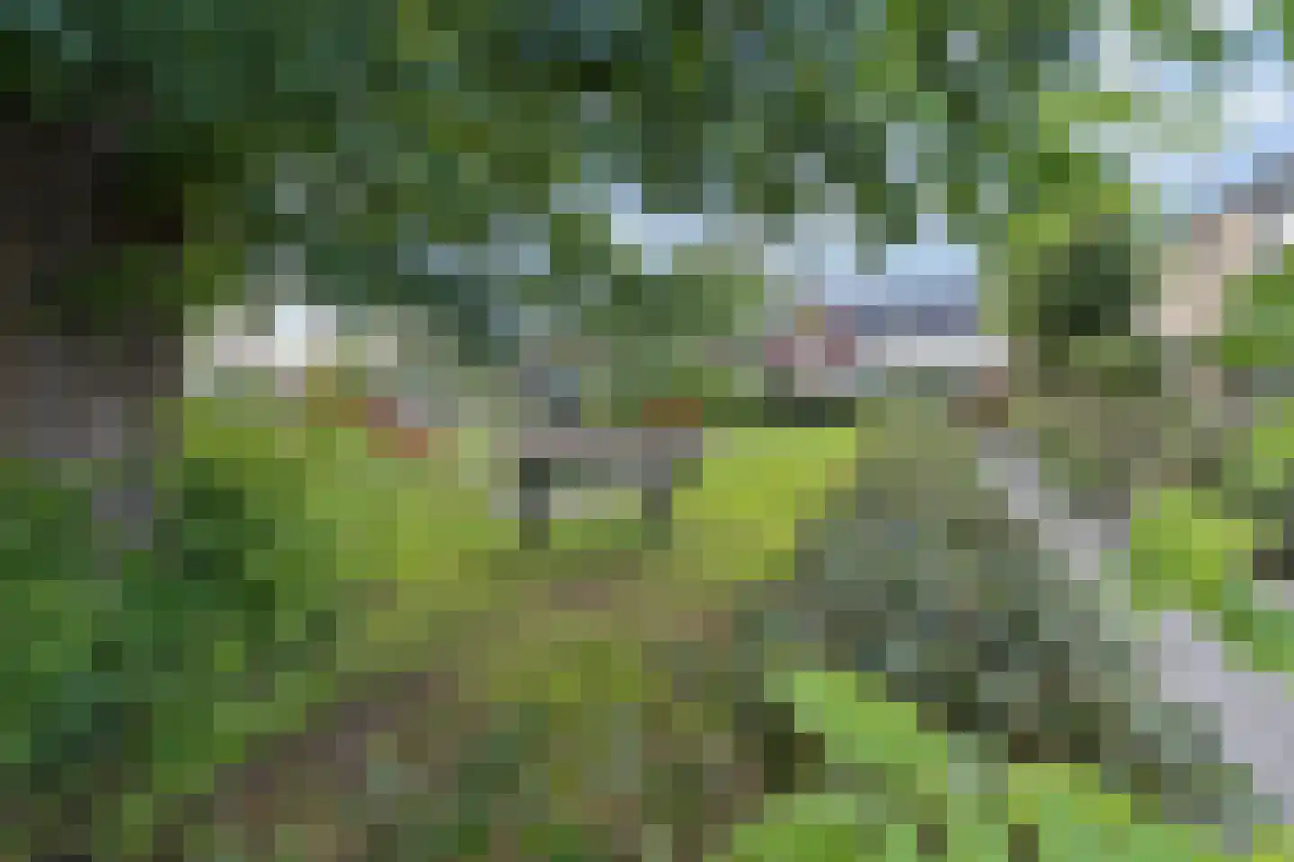 Cuneraweg 203 H Rhenen thumbnail 41