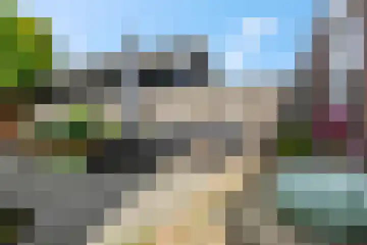 Cuneraweg 209 A Rhenen thumbnail 40