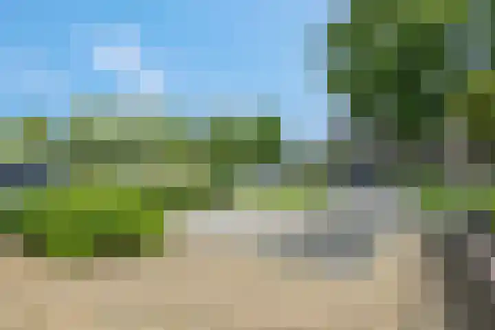 Cuneraweg 209 A Rhenen thumbnail 43
