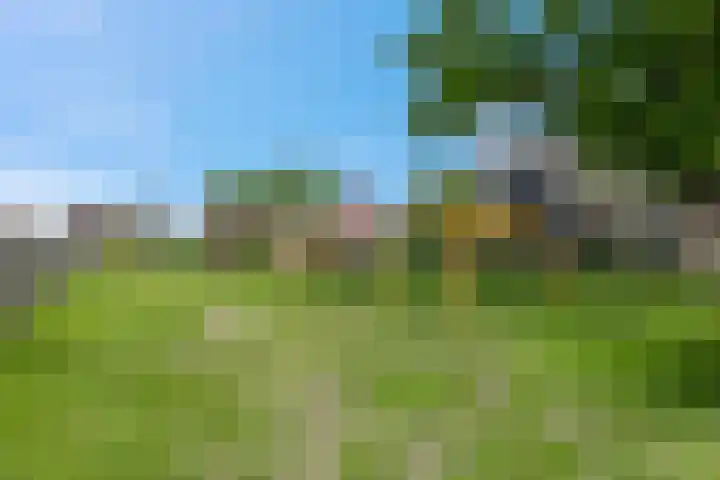 Cuneraweg 209 A Rhenen thumbnail 50
