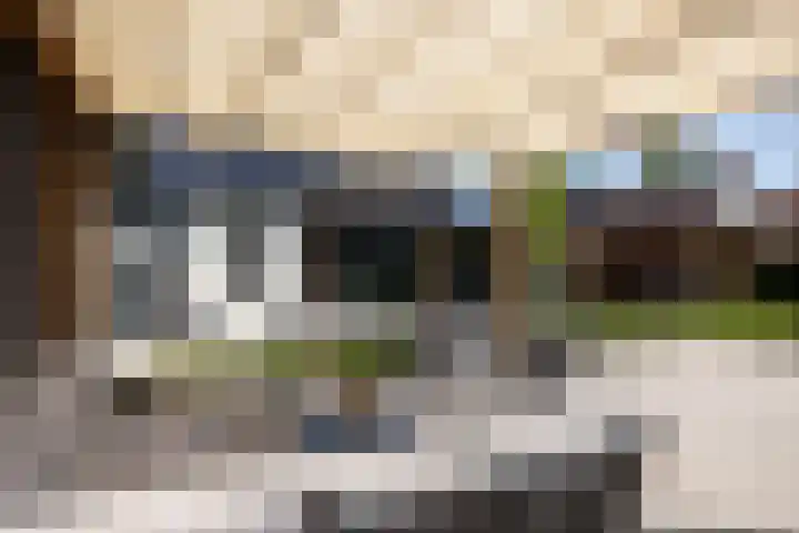 Cuneraweg 231 Rhenen thumbnail 48