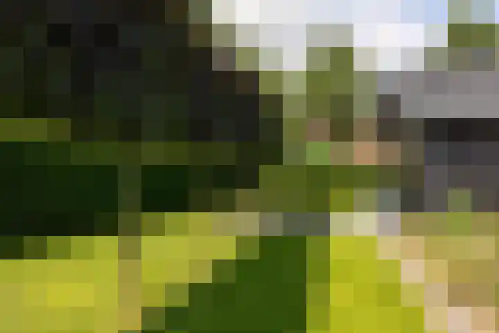 Cuneraweg 231 Rhenen thumbnail 53